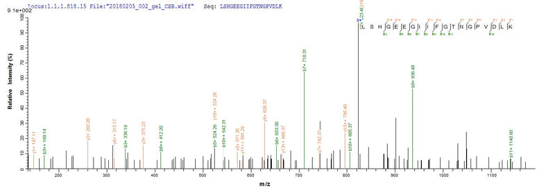 Based on the SEQUEST from database of E.coli host and target protein, the LC-MS/MS Analysis result of this product could indicate that this peptide derived from E.coli-expressed Homo sapiens (Human) CASP3.Recombinant Human Caspase-3 (CASP3) Protein (His)