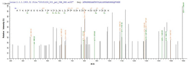 Based on the SEQUEST from database of E.coli host and target protein, the LC-MS/MS Analysis result of this product could indicate that this peptide derived from E.coli-expressed Homo sapiens (Human) CBR1.