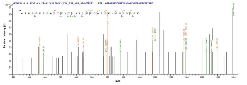Based on the SEQUEST from database of E.coli host and target protein, the LC-MS/MS Analysis result of this product could indicate that this peptide derived from E.coli-expressed Homo sapiens (Human) CBR1.