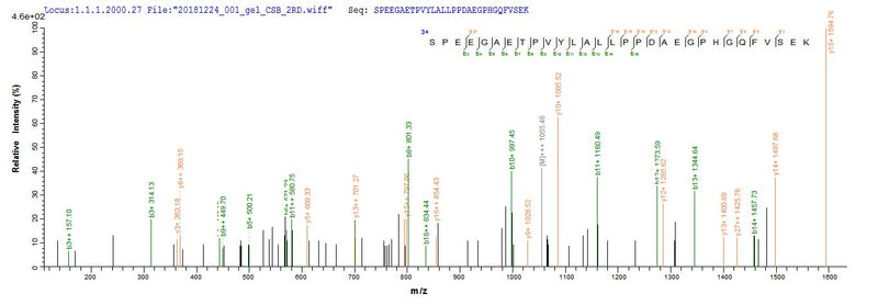Based on the SEQUEST from database of E.coli host and target protein, the LC-MS/MS Analysis result of this product could indicate that this peptide derived from E.coli-expressed Homo sapiens (Human) CBR1.