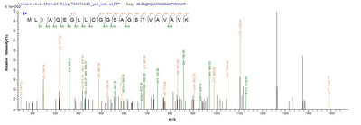 Based on the SEQUEST from database of E.coli host and target protein, the LC-MS/MS Analysis result of this product could indicate that this peptide derived from E.coli-expressed Homo sapiens (Human) CBS.Recombinant Human Cystathionine Beta-Synthase (CBS) Protein (His)