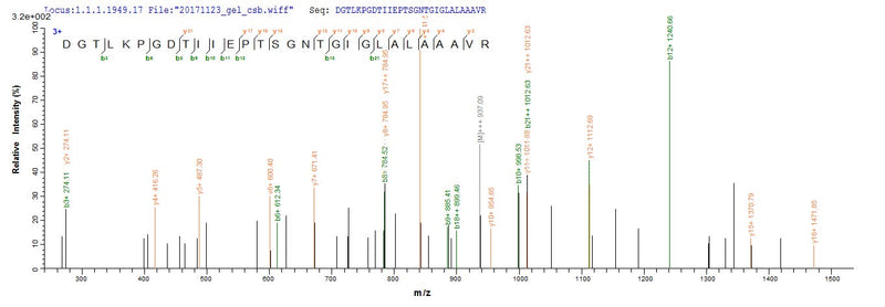 Based on the SEQUEST from database of E.coli host and target protein, the LC-MS/MS Analysis result of this product could indicate that this peptide derived from E.coli-expressed Homo sapiens (Human) CBS.Recombinant Human Cystathionine Beta-Synthase (CBS) Protein (His)