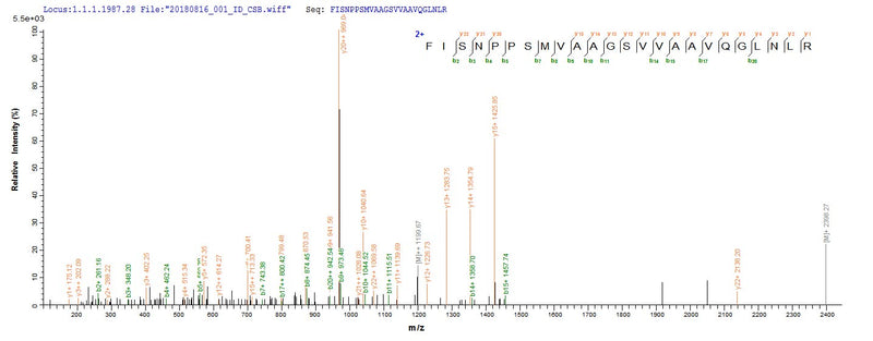 Based on the SEQUEST from database of E.coli host and target protein, the LC-MS/MS Analysis result of this product could indicate that this peptide derived from E.coli-expressed Homo sapiens (Human) CCND1.