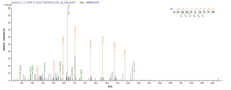 Based on the SEQUEST from database of E.coli host and target protein, the LC-MS/MS Analysis result of this product could indicate that this peptide derived from E.coli-expressed Homo sapiens (Human) CCND1.