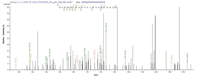 Based on the SEQUEST from database of E.coli host and target protein, the LC-MS/MS Analysis result of this product could indicate that this peptide derived from E.coli-expressed Homo sapiens (Human) CEBPD.Recombinant Human Ccaat/Enhancer-Binding Protein Delta (CEBPD) Protein (His&Myc)