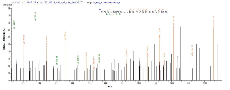 Based on the SEQUEST from database of E.coli host and target protein, the LC-MS/MS Analysis result of this product could indicate that this peptide derived from E.coli-expressed Homo sapiens (Human) CEBPD.Recombinant Human Ccaat/Enhancer-Binding Protein Delta (CEBPD) Protein (His&Myc)