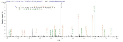 Based on the SEQUEST from database of E.coli host and target protein, the LC-MS/MS Analysis result of this product could indicate that this peptide derived from E.coli-expressed Mus musculus (Mouse) Cela2a.Recombinant Mouse Chymotrypsin-Like Elastase Family Member 2A (CELA2A) Protein (His)