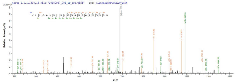 Based on the SEQUEST from database of E.coli host and target protein, the LC-MS/MS Analysis result of this product could indicate that this peptide derived from E.coli-expressed Mus musculus (Mouse) Cela2a.Recombinant Mouse Chymotrypsin-Like Elastase Family Member 2A (CELA2A) Protein (His)