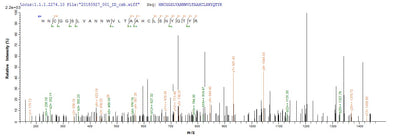 Based on the SEQUEST from database of E.coli host and target protein, the LC-MS/MS Analysis result of this product could indicate that this peptide derived from E.coli-expressed Mus musculus (Mouse) Cela2a.Recombinant Mouse Chymotrypsin-Like Elastase Family Member 2A (CELA2A) Protein (His)