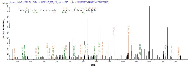 Based on the SEQUEST from database of E.coli host and target protein, the LC-MS/MS Analysis result of this product could indicate that this peptide derived from E.coli-expressed Mus musculus (Mouse) Cela2a.Recombinant Mouse Chymotrypsin-Like Elastase Family Member 2A (CELA2A) Protein (His)
