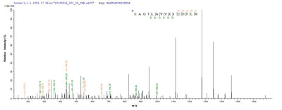 Based on the SEQUEST from database of E.coli host and target protein, the LC-MS/MS Analysis result of this product could indicate that this peptide derived from E.coli-expressed Homo sapiens (Human) CHI3L1.Recombinant Human Chitinase-3-Like Protein 1 (CHI3L1) Protein (His-SUMO&Myc)