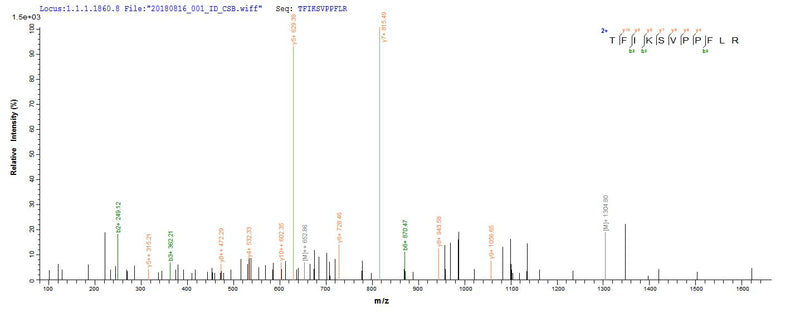 Based on the SEQUEST from database of E.coli host and target protein, the LC-MS/MS Analysis result of this product could indicate that this peptide derived from E.coli-expressed Homo sapiens (Human) CHI3L1.Recombinant Human Chitinase-3-Like Protein 1 (CHI3L1) Protein (His-SUMO&Myc)