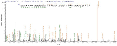 Based on the SEQUEST from database of E.coli host and target protein, the LC-MS/MS Analysis result of this product could indicate that this peptide derived from E.coli-expressed Homo sapiens (Human) CHRNA1.Recombinant Human Acetylcholine Receptor Subunit Alpha (CHRNA1) Protein (His)