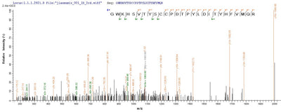 Based on the SEQUEST from database of E.coli host and target protein, the LC-MS/MS Analysis result of this product could indicate that this peptide derived from E.coli-expressed Homo sapiens (Human) CHRNA1.Recombinant Human Acetylcholine Receptor Subunit Alpha (CHRNA1) Protein (His)
