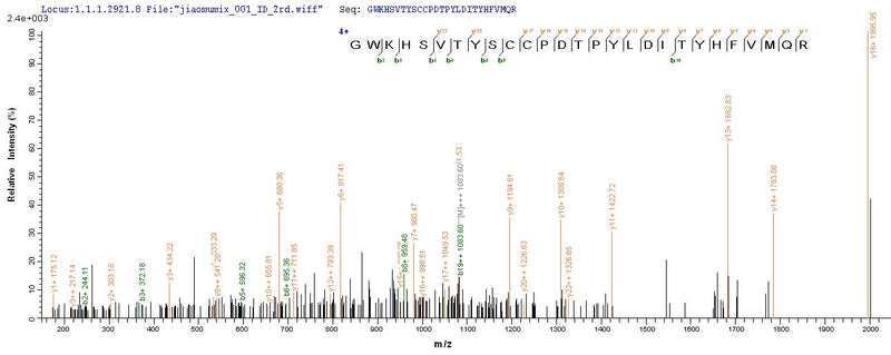 Based on the SEQUEST from database of E.coli host and target protein, the LC-MS/MS Analysis result of this product could indicate that this peptide derived from E.coli-expressed Homo sapiens (Human) CHRNA1.Recombinant Human Acetylcholine Receptor Subunit Alpha (CHRNA1) Protein (His)