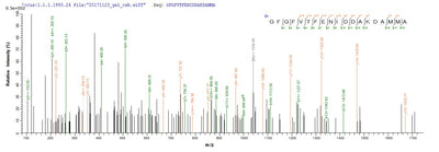 Based on the SEQUEST from database of E.coli host and target protein, the LC-MS/MS Analysis result of this product could indicate that this peptide derived from E.coli-expressed Mus musculus (Mouse) Cirbp.Recombinant Mouse Cold-Inducible Rna-Binding Protein (CIRBP) Protein (His)