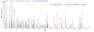 Based on the SEQUEST from database of E.coli host and target protein, the LC-MS/MS Analysis result of this product could indicate that this peptide derived from E.coli-expressed Mus musculus (Mouse) Cirbp.Recombinant Mouse Cold-Inducible Rna-Binding Protein (CIRBP) Protein (His)
