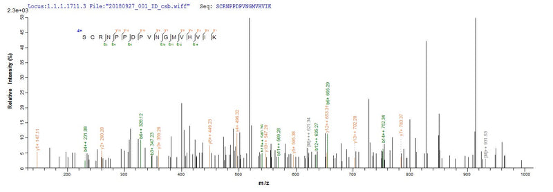 Based on the SEQUEST from database of E.coli host and target protein, the LC-MS/MS Analysis result of this product could indicate that this peptide derived from E.coli-expressed Homo sapiens (Human) CR1.Recombinant Human Complement Receptor Type 1 (CR1) Protein (GST)