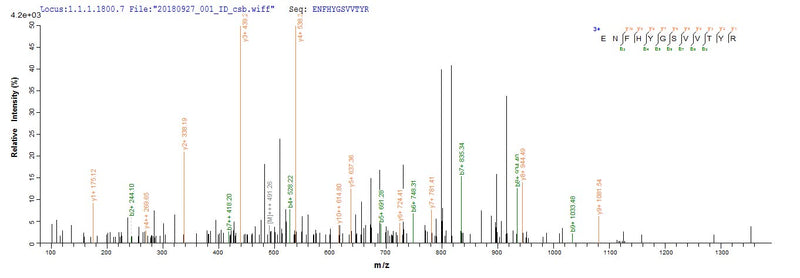 Based on the SEQUEST from database of E.coli host and target protein, the LC-MS/MS Analysis result of this product could indicate that this peptide derived from E.coli-expressed Homo sapiens (Human) CR1.Recombinant Human Complement Receptor Type 1 (CR1) Protein (GST)