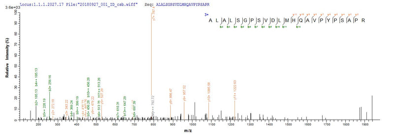 Based on the SEQUEST from database of E.coli host and target protein, the LC-MS/MS Analysis result of this product could indicate that this peptide derived from E.coli-expressed Homo sapiens (Human) CRX.