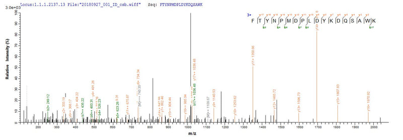 Based on the SEQUEST from database of E.coli host and target protein, the LC-MS/MS Analysis result of this product could indicate that this peptide derived from E.coli-expressed Homo sapiens (Human) CRX.