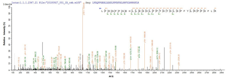 Based on the SEQUEST from database of E.coli host and target protein, the LC-MS/MS Analysis result of this product could indicate that this peptide derived from E.coli-expressed Homo sapiens (Human) CRYAB.Recombinant Human Alpha-Crystallin B Chain (CRYAB) Protein (His-SUMO)