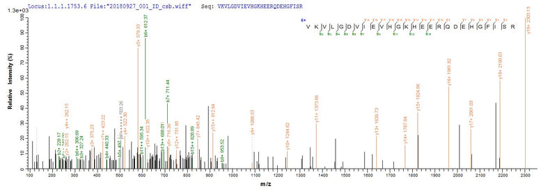 Based on the SEQUEST from database of E.coli host and target protein, the LC-MS/MS Analysis result of this product could indicate that this peptide derived from E.coli-expressed Homo sapiens (Human) CRYAB.Recombinant Human Alpha-Crystallin B Chain (CRYAB) Protein (His-SUMO)