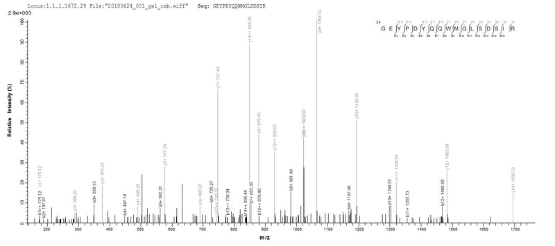 Based on the SEQUEST from database of E.coli host and target protein, the LC-MS/MS Analysis result of this product could indicate that this peptide derived from E.coli-expressed Homo sapiens (Human) CRYGB.