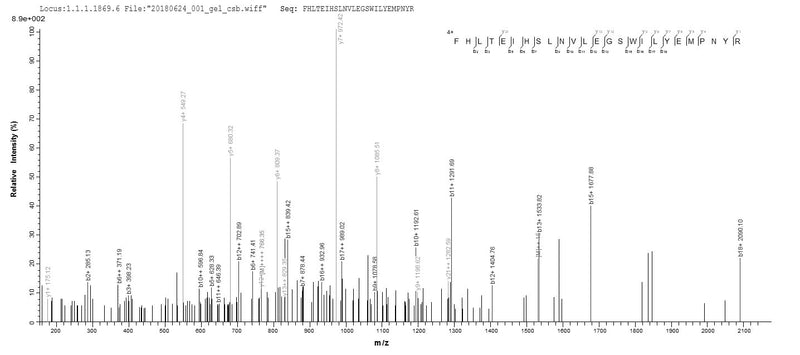 Based on the SEQUEST from database of E.coli host and target protein, the LC-MS/MS Analysis result of this product could indicate that this peptide derived from E.coli-expressed Homo sapiens (Human) CRYGB.