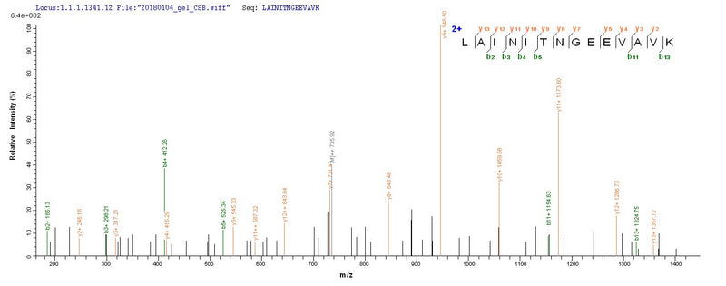 Based on the SEQUEST from database of E.coli host and target protein, the LC-MS/MS Analysis result of this product could indicate that this peptide derived from E.coli-expressed Homo sapiens (Human) CSNK1A1.