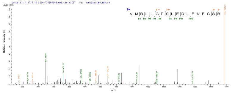Based on the SEQUEST from database of E.coli host and target protein, the LC-MS/MS Analysis result of this product could indicate that this peptide derived from E.coli-expressed Homo sapiens (Human) CSNK1A1.