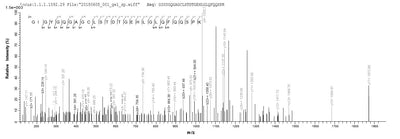 Based on the SEQUEST from database of E.coli host and target protein, the LC-MS/MS Analysis result of this product could indicate that this peptide derived from E.coli-expressed Homo sapiens (Human) CSRP3.