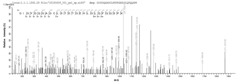 Based on the SEQUEST from database of E.coli host and target protein, the LC-MS/MS Analysis result of this product could indicate that this peptide derived from E.coli-expressed Homo sapiens (Human) CSRP3.