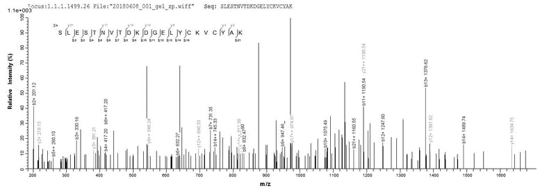 Based on the SEQUEST from database of E.coli host and target protein, the LC-MS/MS Analysis result of this product could indicate that this peptide derived from E.coli-expressed Homo sapiens (Human) CSRP3.