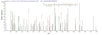 Based on the SEQUEST from database of E.coli host and target protein, the LC-MS/MS Analysis result of this product could indicate that this peptide derived from E.coli-expressed Mus musculus (Mouse) Cst7.Recombinant Mouse Cystatin-F (CST7) Protein (His&Myc)
