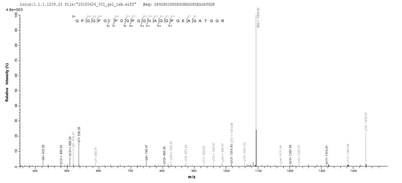 Based on the SEQUEST from database of E.coli host and target protein, the LC-MS/MS Analysis result of this product could indicate that this peptide derived from E.coli-expressed Homo sapiens (Human) CTAG1A.Recombinant Human Cancer/Testis Antigen 1 (CTAG1A) Protein (His)