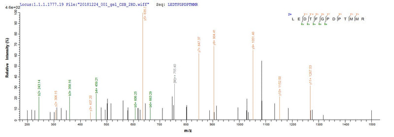 Based on the SEQUEST from database of E.coli host and target protein, the LC-MS/MS Analysis result of this product could indicate that this peptide derived from E.coli-expressed Mus musculus (Mouse) Ctgf.