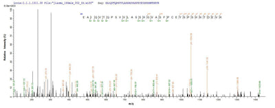 Based on the SEQUEST from database of E.coli host and target protein, the LC-MS/MS Analysis result of this product could indicate that this peptide derived from E.coli-expressed Mus musculus (Mouse) Ctla4.Recombinant Mouse Cytotoxic T-Lymphocyte Protein 4 (CTLA4) Protein (His-SUMO&Myc)