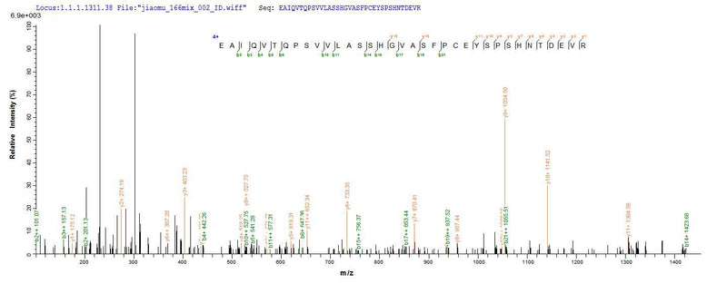 Based on the SEQUEST from database of E.coli host and target protein, the LC-MS/MS Analysis result of this product could indicate that this peptide derived from E.coli-expressed Mus musculus (Mouse) Ctla4.Recombinant Mouse Cytotoxic T-Lymphocyte Protein 4 (CTLA4) Protein (His-SUMO&Myc)