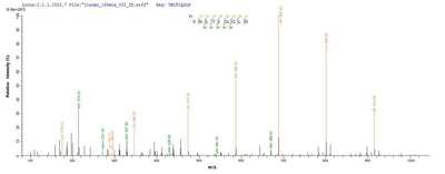 Based on the SEQUEST from database of E.coli host and target protein, the LC-MS/MS Analysis result of this product could indicate that this peptide derived from E.coli-expressed Mus musculus (Mouse) Ctla4.Recombinant Mouse Cytotoxic T-Lymphocyte Protein 4 (CTLA4) Protein (His-SUMO&Myc)