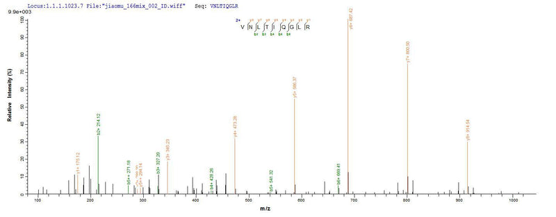 Based on the SEQUEST from database of E.coli host and target protein, the LC-MS/MS Analysis result of this product could indicate that this peptide derived from E.coli-expressed Mus musculus (Mouse) Ctla4.Recombinant Mouse Cytotoxic T-Lymphocyte Protein 4 (CTLA4) Protein (His-SUMO&Myc)