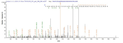 Based on the SEQUEST from database of E.coli host and target protein, the LC-MS/MS Analysis result of this product could indicate that this peptide derived from E.coli-expressed Homo sapiens (Human) CTNNB1.Recombinant Human Catenin Beta-1 (CTNNB1) Protein (GST)