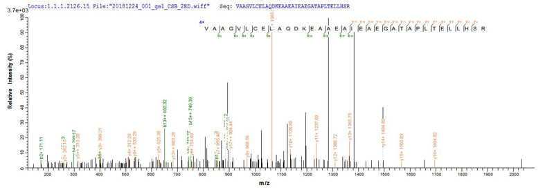 Based on the SEQUEST from database of E.coli host and target protein, the LC-MS/MS Analysis result of this product could indicate that this peptide derived from E.coli-expressed Homo sapiens (Human) CTNNB1.Recombinant Human Catenin Beta-1 (CTNNB1) Protein (GST)