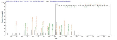 Based on the SEQUEST from database of E.coli host and target protein, the LC-MS/MS Analysis result of this product could indicate that this peptide derived from E.coli-expressed Homo sapiens (Human) CTNNB1.Recombinant Human Catenin Beta-1 (CTNNB1) Protein (GST)