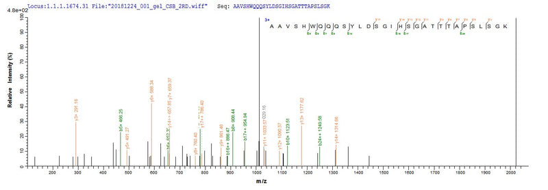 Based on the SEQUEST from database of E.coli host and target protein, the LC-MS/MS Analysis result of this product could indicate that this peptide derived from E.coli-expressed Homo sapiens (Human) CTNNB1.Recombinant Human Catenin Beta-1 (CTNNB1) Protein (GST)
