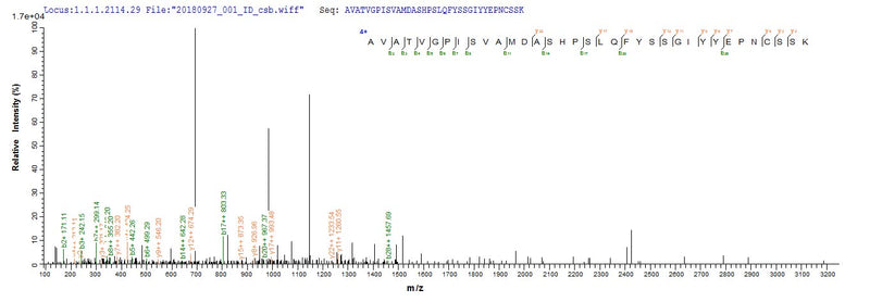 Based on the SEQUEST from database of E.coli host and target protein, the LC-MS/MS Analysis result of this product could indicate that this peptide derived from E.coli-expressed Mus musculus (Mouse) Ctsl.Recombinant Mouse Cathepsin L1 (CTSL) Protein (His&Myc)