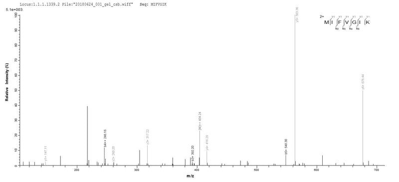 Based on the SEQUEST from database of E.coli host and target protein, the LC-MS/MS Analysis result of this product could indicate that this peptide derived from E.coli-expressed Homo sapiens (Human) CYCS.Recombinant Human Cytochrome C (CYCS) Protein (GST)