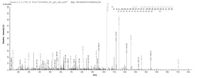 Based on the SEQUEST from database of E.coli host and target protein, the LC-MS/MS Analysis result of this product could indicate that this peptide derived from E.coli-expressed Homo sapiens (Human) CYP11A1.Recombinant Human Cholesterol Side-Chain Cleavage Enzyme, Mitochondrial (CYP11A1) Protein (His-SUMO)