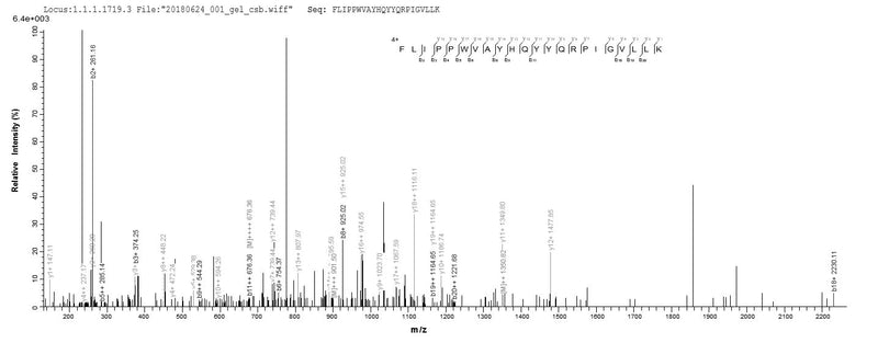 Based on the SEQUEST from database of E.coli host and target protein, the LC-MS/MS Analysis result of this product could indicate that this peptide derived from E.coli-expressed Homo sapiens (Human) CYP11A1.Recombinant Human Cholesterol Side-Chain Cleavage Enzyme, Mitochondrial (CYP11A1) Protein (His-SUMO)