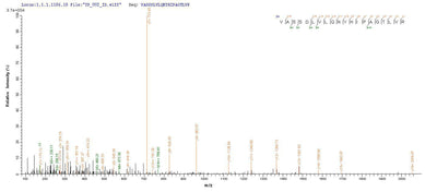 Based on the SEQUEST from database of E.coli host and target protein, the LC-MS/MS Analysis result of this product could indicate that this peptide derived from E.coli-expressed Homo sapiens (Human) CYP11B1.